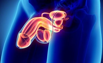 Infecciones aparato reproductor Masculino